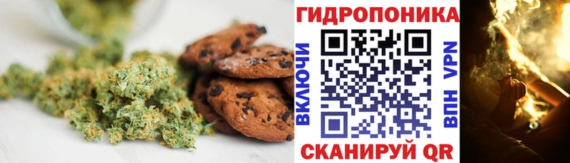 где продают наркотики  Калтан  Cannafood конопля 