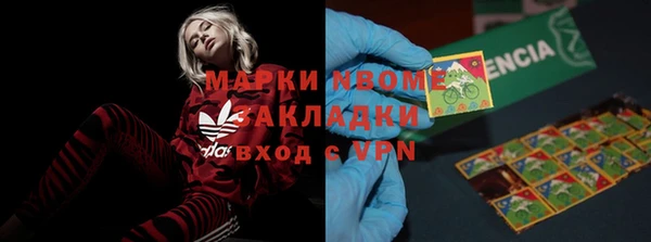 индика Алексин