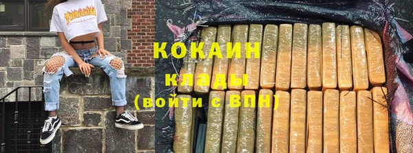 индика Алексин