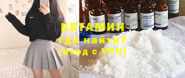 индика Алексин