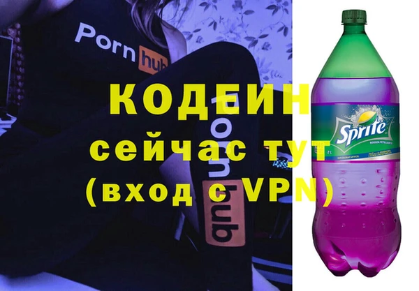 индика Алексин