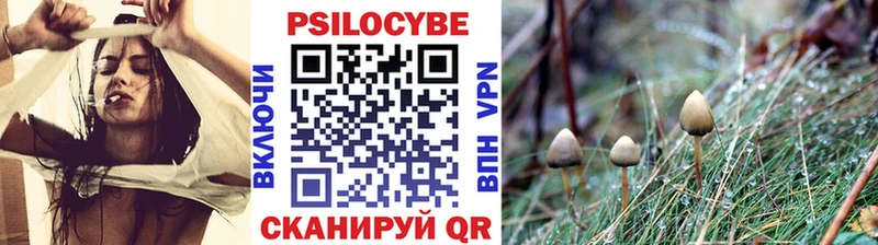 Псилоцибиновые грибы ЛСД  ссылка на мегу маркетплейс  Калтан 
